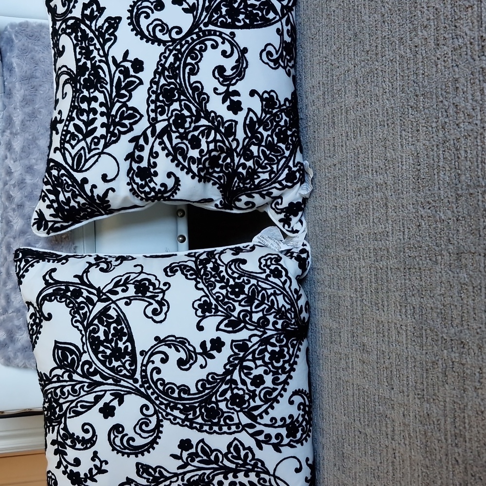 Pair of decorative pillows ( inner not included)
